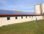 Solaranlagenreinigung in Wittmansdorf // 14
